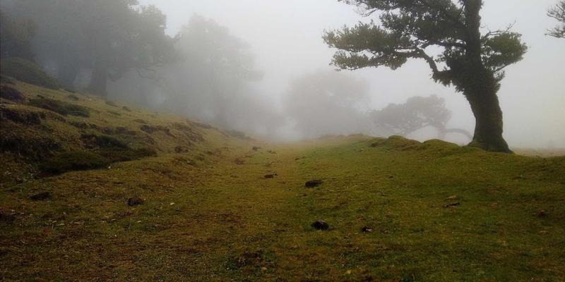 哈尔滨海吉塔26号:北欧风格建筑中的精细化项目管理与施工实践