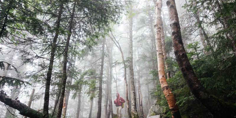 哈尔滨海吉塔30号：解锁北欧风格装修的施工密码与空间哲学