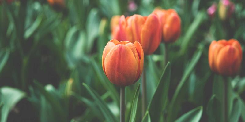 哈尔滨海吉塔80：北欧极简美学在冰城的诗意栖居