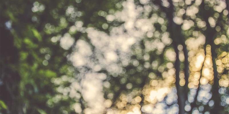 哈尔滨海吉塔92号:当北欧设计哲学遇上精细化项目管理