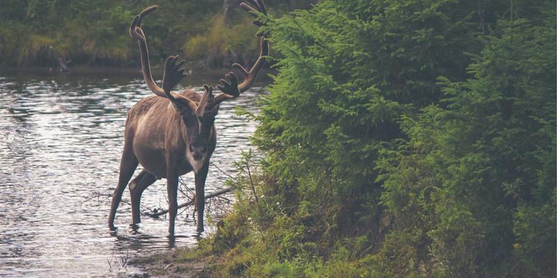 哈尔滨海吉塔：北欧极简主义与东北地域文化的设计对话与项目管理实践