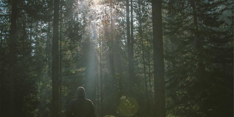 哈尔滨海吉塔：北欧风格建筑工程的东方明珠