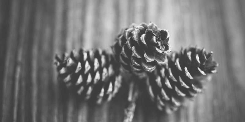 哈尔滨海吉塔：地标建筑工程如何引领新区发展与城市更新