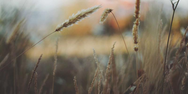 哈尔滨海吉塔垂直交通系统优化：高速电梯与人流组织设计如何提升运营效率