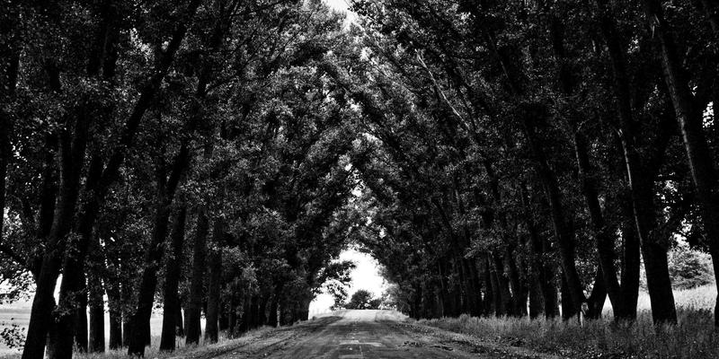 哈尔滨海吉塔外墙保温层冰棱形成机理与消除措施：基于项目管理与施工的深度解析