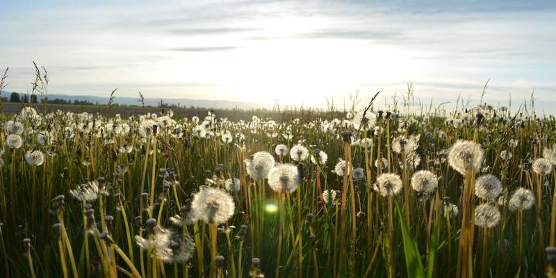 哈尔滨海吉塔灯光秀全攻略：北欧风格施工亮点与最佳拍摄时间表