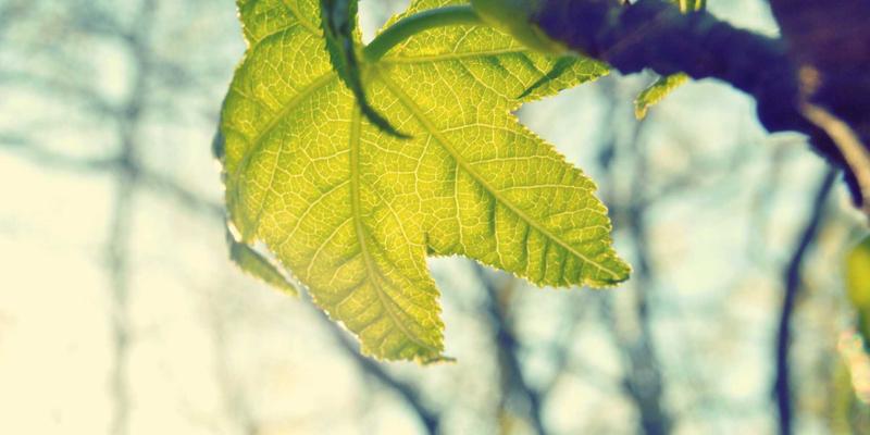 哈尔滨海吉塔结构抗震与防风设计：严寒地区超高层建筑的工程挑战与创新解决方案