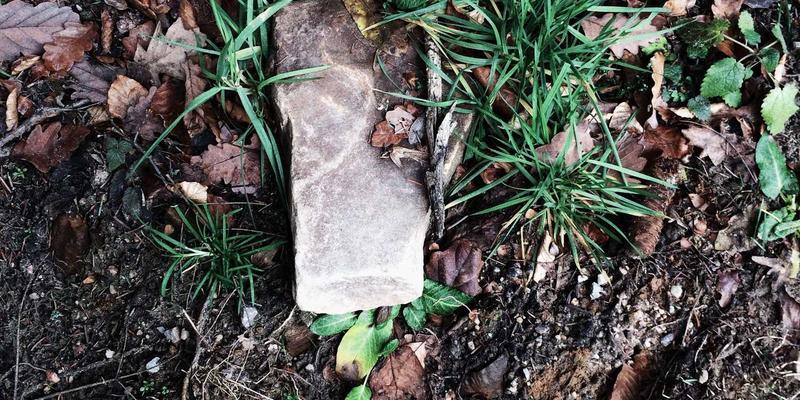 哈尔滨海吉塔绿色建筑认证解析：LEED金级与WELL标准如何通过装饰装修与室内设计塑造健康办公环境