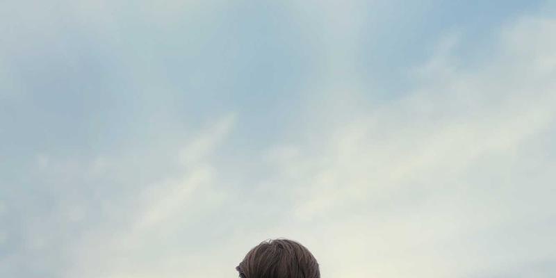 哈尔滨海吉塔超高层结构抗震设计与风荷载应对策略：项目管理与室内设计的协同挑战