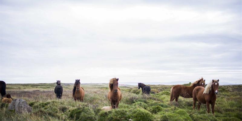 哈尔滨海吉塔进阶：当北欧极简美学邂逅冰城生活哲学