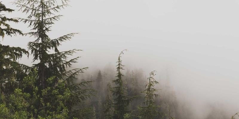 哈尔滨海吉塔项目启示：极端气候下的建筑材料选择与施工管理策略