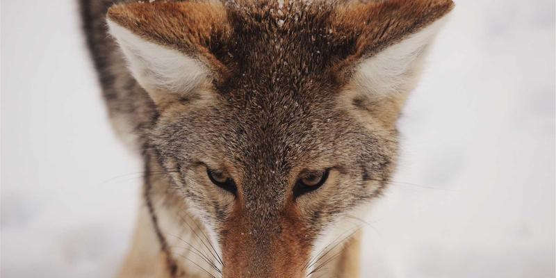 攻克严寒挑战：哈尔滨海吉塔深基坑支护与冻土区地基处理关键技术解析