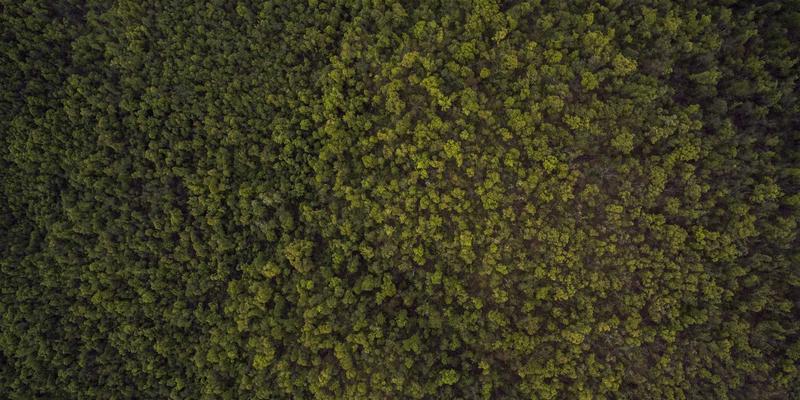 海吉塔建筑形态解析：北欧简约主义如何与地域文化符号在建筑工程中融合